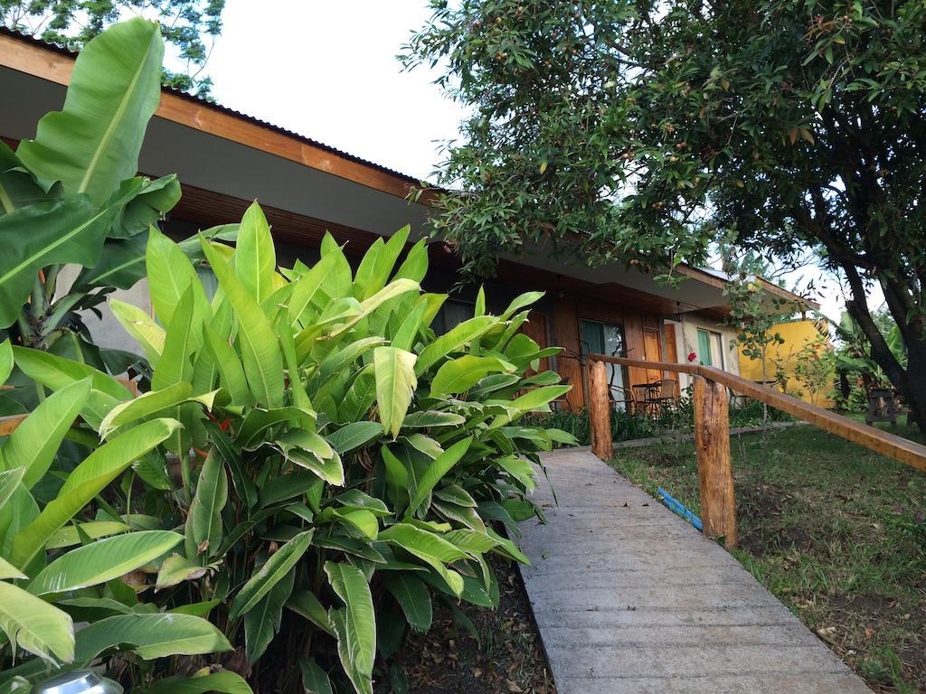 Mangai Rapa Nui Otel Hanga Roa Oda fotoğraf