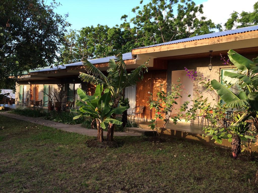 Mangai Rapa Nui Otel Hanga Roa Oda fotoğraf